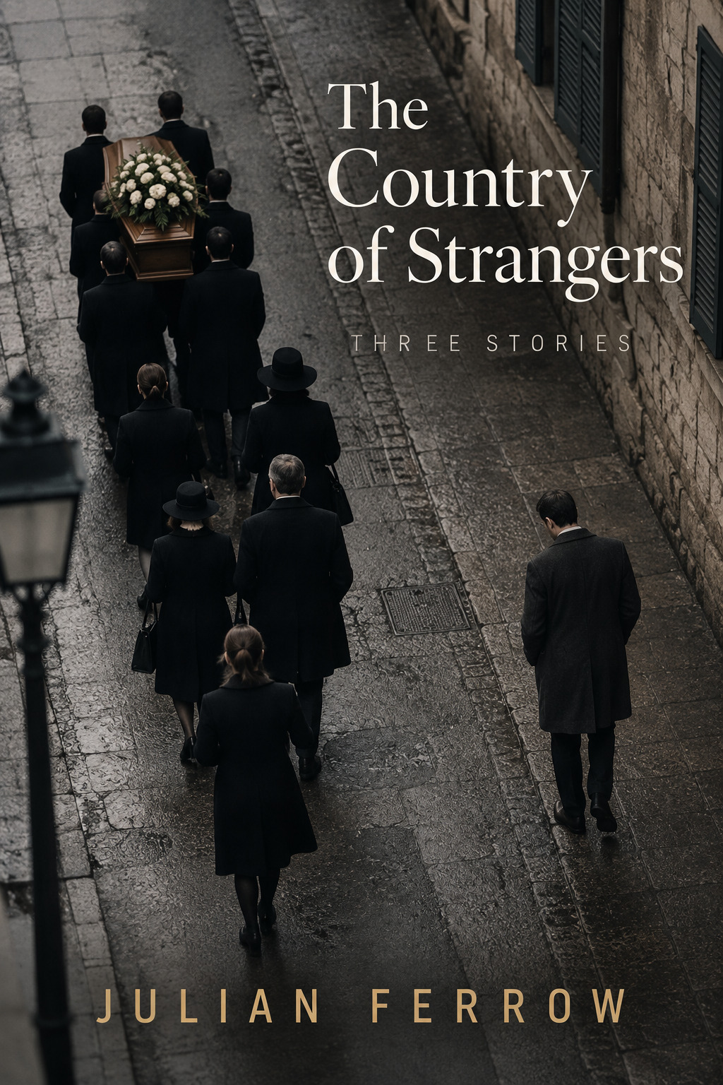The Country of Strangers book cover