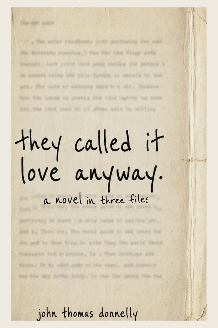 They Called It Love Anyway book cover